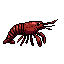 Lobster